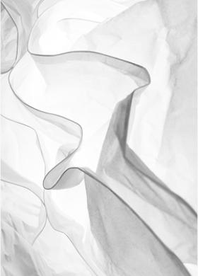 One Planet Summit for the Ocean